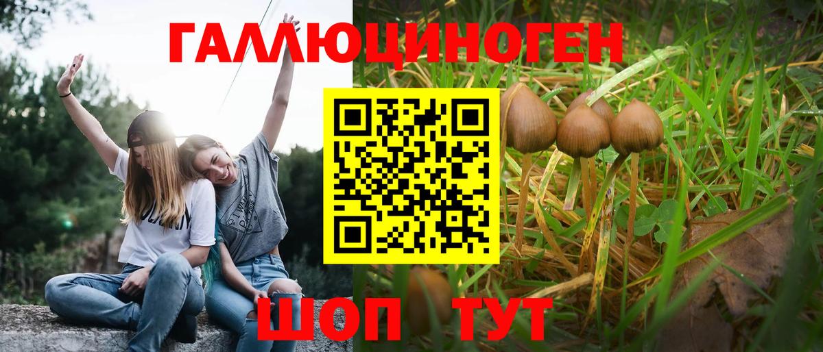 Галлюциногенные грибы Psilocybine cubensis  Вход с VPN  хочу наркоту  Семёнов 
